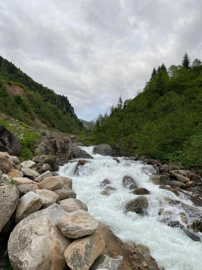 Serinyer Dag Evi Ayder Yaylasi Kültér fotó